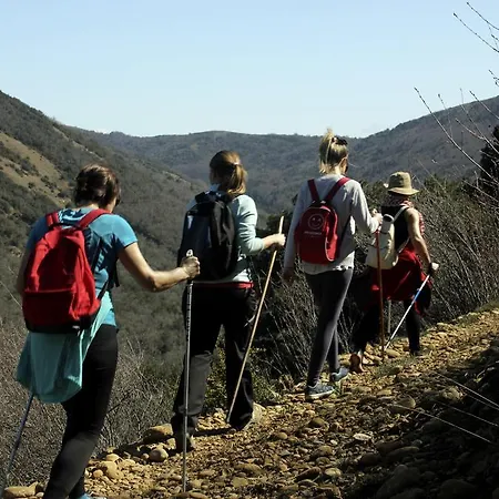 Appartement Apartamentos Uncastillo