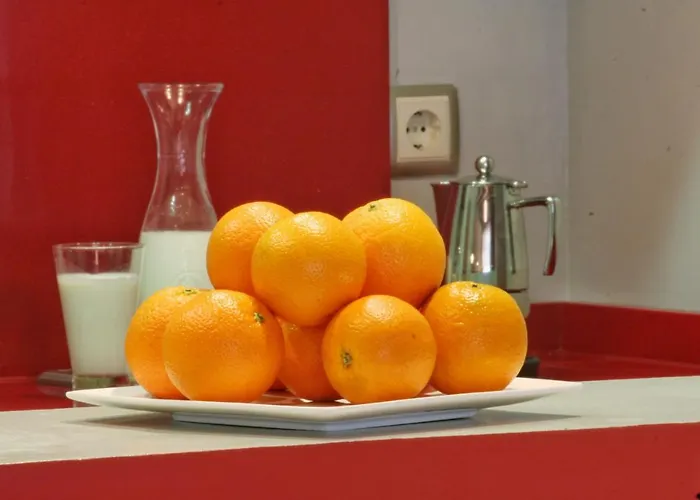 아파트 Apartamentos Uncastillo 운카스틸로